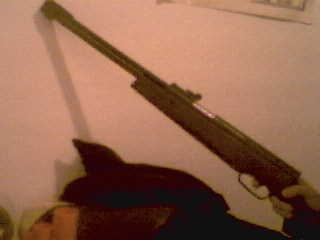 gun.jpg